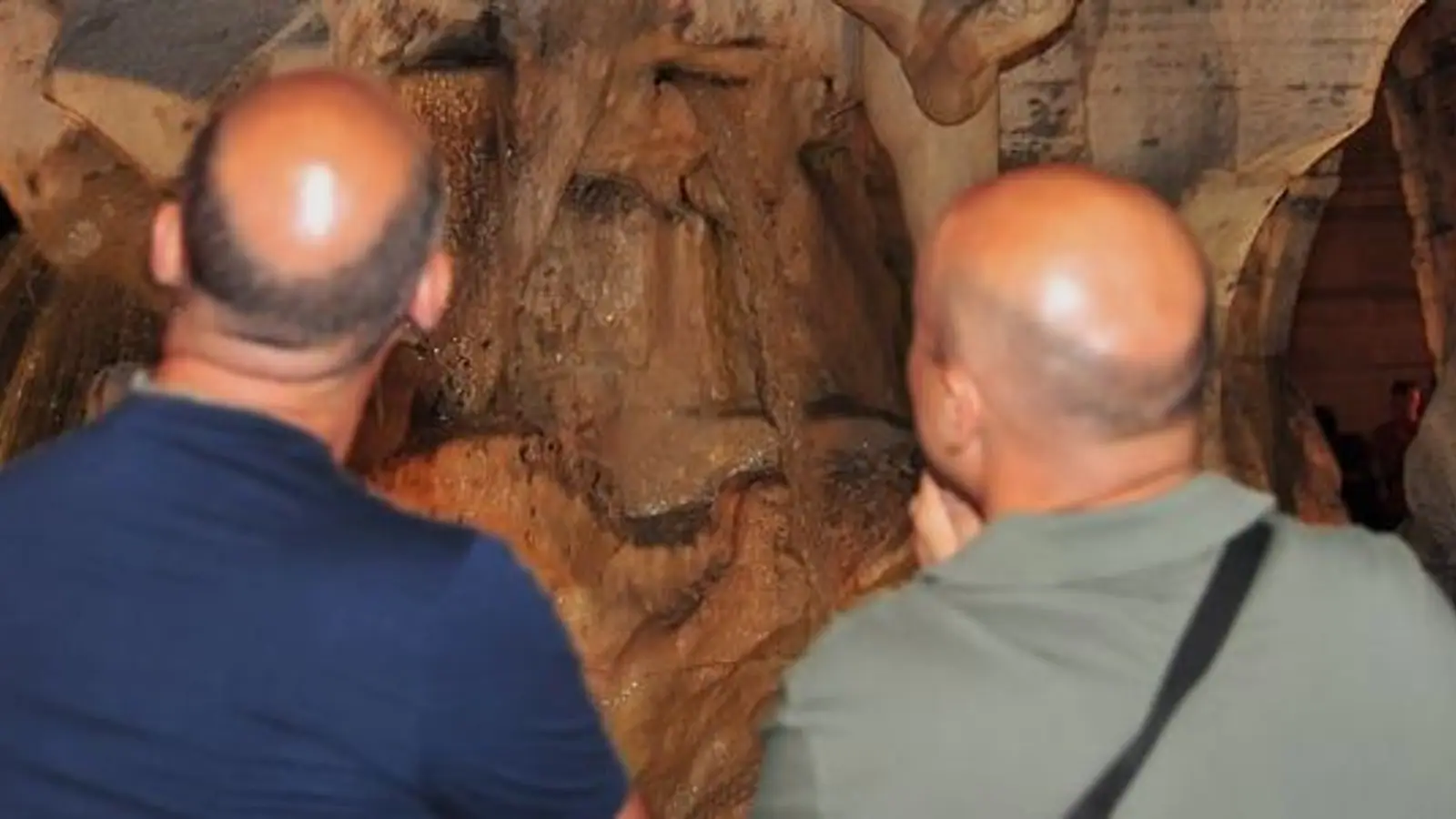 שני גברים במבט מאחור, עם התקרחות בכתר ושיער קצר בצדדים ובעורף